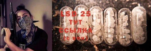 трава Слюдянка