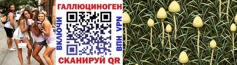 Галлюциногенные грибы Cubensis Лакинск